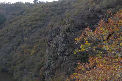 DSCF0100.JPG