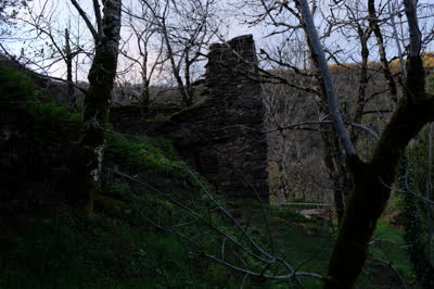 DSCF0113.JPG