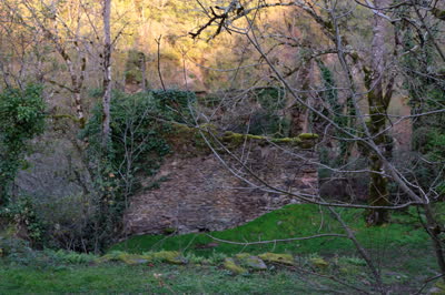 DSCF0116.JPG
