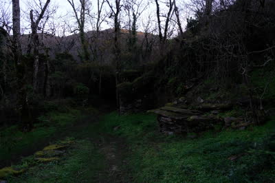 DSCF0117.JPG