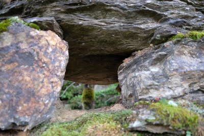 DSCF0125.JPG