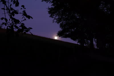 DSCF0175.JPG