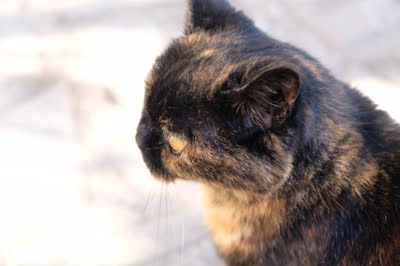 DSCF0741.JPG