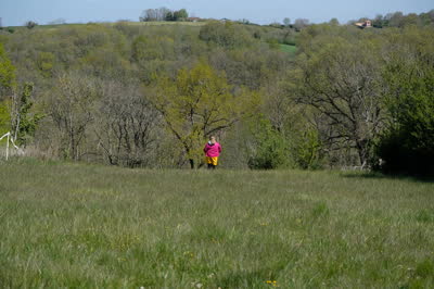DSCF1973.JPG