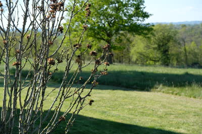 DSCF2109.JPG