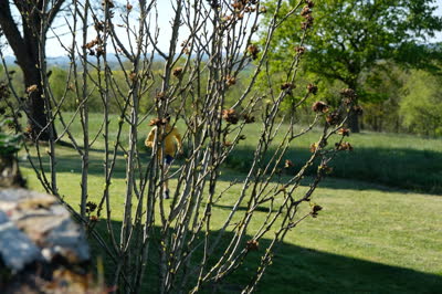DSCF2112.JPG