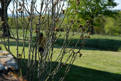 DSCF2113.JPG