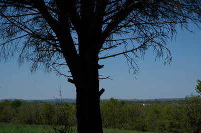 DSCF2168.JPG