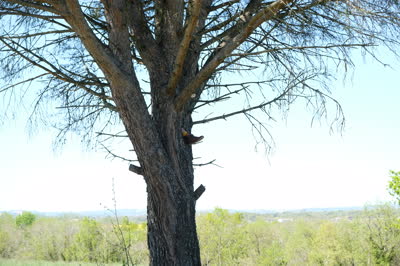 DSCF2170.JPG