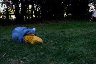 DSCF2405.JPG