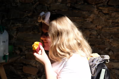 DSCF2488.JPG