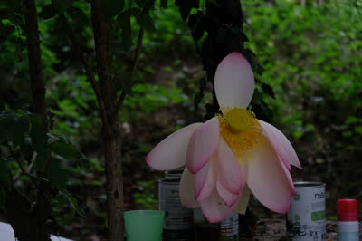 DSCF2832.JPG