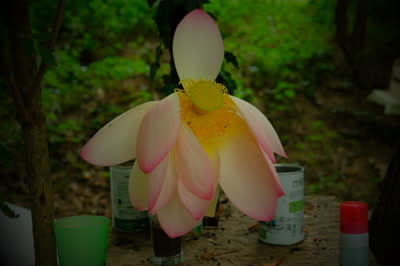 DSCF2835.JPG